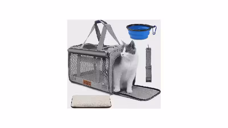 Melhor Bolsa de Transporte para Gato: Guia e Reviews