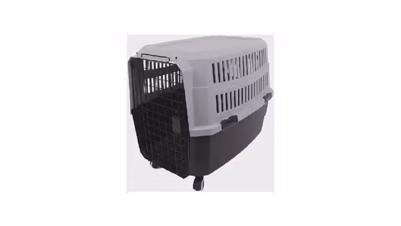 Melhor Caixa de Transporte para Cão: Guia e Reviews
