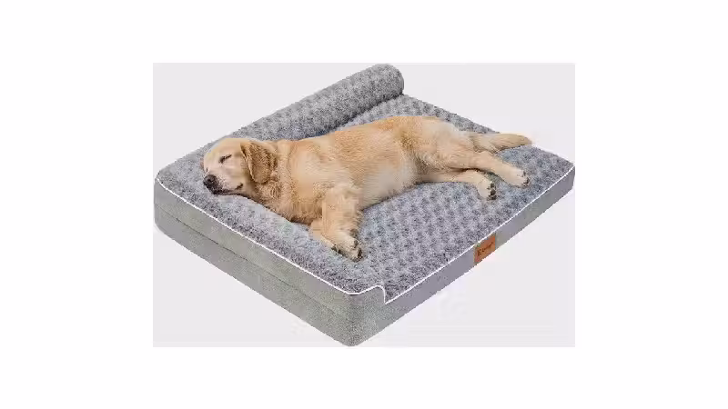 Melhor Caminha de Cachorro: Guia de Compra e Reviews