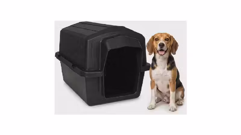 Melhor Casa para Cachorro: Guia de Compra e Reviews