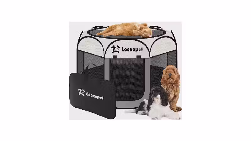 Melhor Cercado para Cachorro: Guia de Compra e Reviews