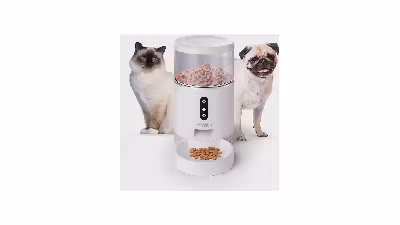 Melhor Alimentador Automático para Cão: Guia e Reviews