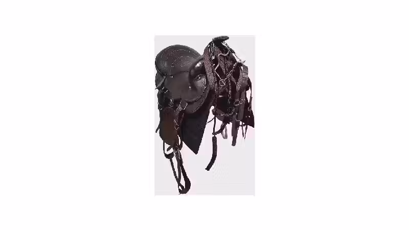 Melhor Sela para Cavalo: Guia de Compra e Reviews