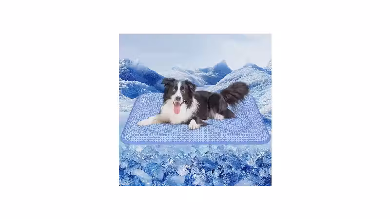 Melhor Tapete Gelado para Cachorro: Guia de Compra e Reviews