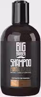 Shampoo Fortalecedor Para Barba Big Barber 250ml Profissional