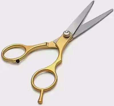 Tesoura de Corte de Cabelo Profissional 6 Polegadas Aço Inoxidável Para Barbearia e Uso Doméstico Cabelereiro e Barbeiro (Ouro)