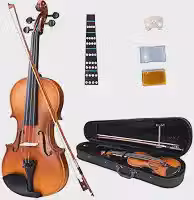 Violino Para Iniciantes Regulagem Cavalete Estandarte Ideal Ressonância Acabamento 4/4 3/4 1/2 1/8 1/16 (1/2)