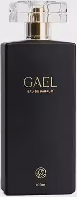 Perfume Amadeirado Masculino GAEL Eau de Parfum Fragrância Oriental 100 ml