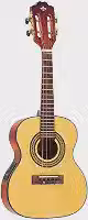 CAVACO ELETRICO STRINBERG CS25E N