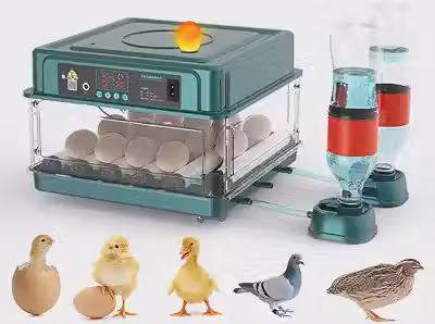 Incubadora Automática de Ovos 12-38 Ovos Máquina de Chocadeira Digital para Aves com Viragem Automática de Ovos, Controle de Temperatura E Umidade, Iluminação Led Eficiente para Galinhas,