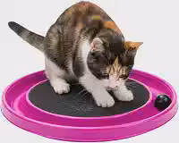 Arranhador Interativo para Gato com Bolinha e Carpete