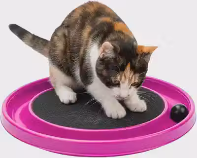 Arranhador Interativo para Gato com Bolinha e Carpete