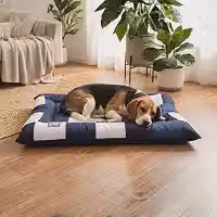 Cama Pet Grande Lavável 90x60cm para Cães e Gatos com Tecido Resistente, Espuma Macia