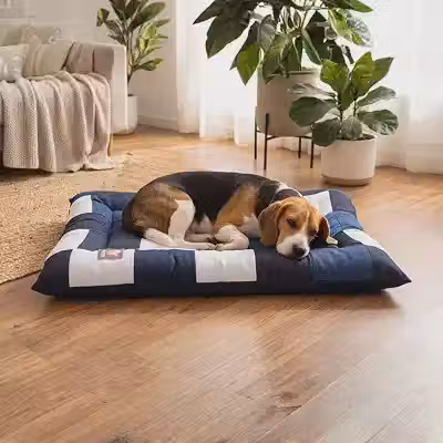 Cama Pet Grande Lavável 90x60cm para Cães e Gatos com Tecido Resistente, Espuma Macia