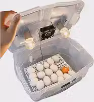 Chocadeira Pet Compacta Com 2 Lâmpadas Cooler Para 30 Ovos De Galinha Ou 90 De Codorna