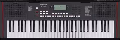 Roland E-X10 Teclado Arranjador