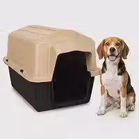 Casinha Pet 2 em 1 Grande N5 Caminha Proteção UV | Uso Externo Sol Chuva | Cães Médios até 22kg Labrador Bulldog Beagle | Plástico Rígido Atóxico Resistente | Limpeza Fácil (Areia)