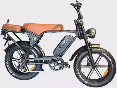 Bicicleta Elétrica Cicloarte 1000W - 2 Lugares - V8 Marrom