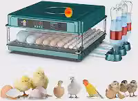 FINYQBET Chocadeira Incubadora Automática e Ovoscópio (72 Ovos, 110V)