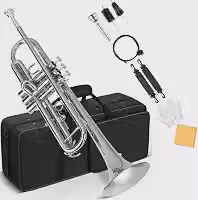 VEDO Conjunto Trompete Standard Bb Student - Trompete de metal Latão para estudantes com bocal rígido 7C e luvas, Estojo Rígido, adequado para iniciantes ou estudantes avançados, orquestras, prata