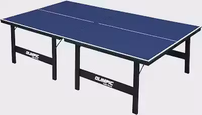 Mesa Oficial de Tenis de Mesa Olimpic Azul