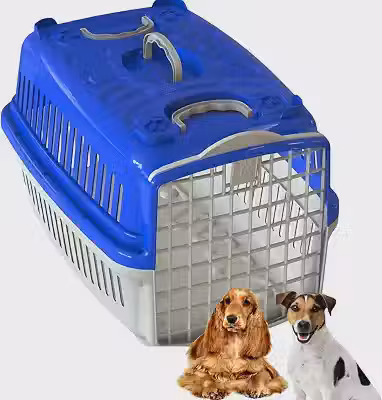 Caixa De Transporte Para Cachorro Médio Porte Avião Pet Shop Veterinário N°4 Azul
