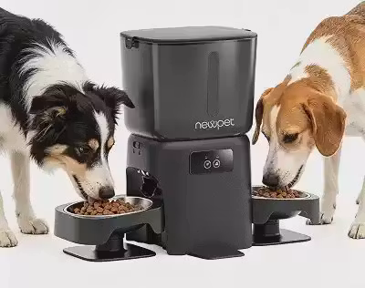 NEWPET 6L Comedouro Automático Para Gatos, Elevado Distribuidor Automático De Ração Para 2 Gatos E Animais De Estimação De Pequeno Porte, Controle Por Aplicativo