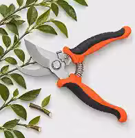 Tesoura De Poda Para Jardim Galhos Plantas Profissional Aço Inox Alicate Jardinagem Horta Pomar Flores Frutas Bonsai Suculentas Corte Bypass