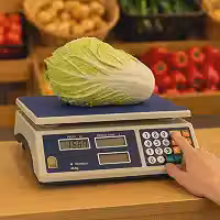 Balança Digital Comercial 40kg Alta Precisão 2g – Bivolt com Visor Duplo e Cálculo de Preço para Comércio