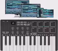 M-VAVE SMK-25 Controlador MIDI, com 25 Teclas Sensíveis à Velocidade, 8 Pads RGB, Compatível Windows/Mac/i0S/Android, A Escolha Perfeita Para os Amantes da MúSica, Original Autêntico, Preto