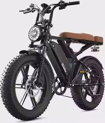 TST Bicicleta elétrica adulto 20' pneu 250 W bateria 48V 15A removível 25 km/h 60 km tempo de execução e-bike 7 velocidades com assento traseiro, suspensão, display LCD e aplicativo