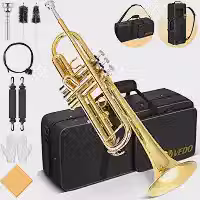 ANVAR VEDO Conjunto Trompete Standard Bb Maior Kit, Trompete de metal Latão para estudantes com bocal rígido 7C e luvas, Estojo Rígido, adequado para iniciantes ou estudantes avançados, orquestras