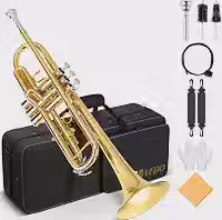 VEDO Conjunto Trompete Standard Bb Student - Trompete de metal Latão para estudantes com bocal rígido 7C e luvas, Estojo Rígido, adequado para iniciantes ou estudantes avançados, orquestras, dourado