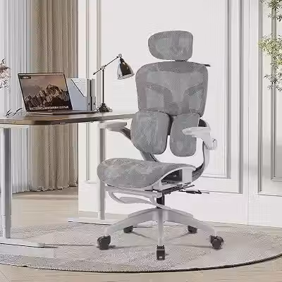 Cadeira de Escritório Ergonômica Testada conforme NR-17, Duplo Apoio Lombar, Assento Deslizante com Ajuste de Profundidade 5cm, Apoio para Pés Retrátil, Reclinável até 135° para Home Office(Cinza)