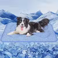 Rywell Tapete Gelado para Pet 110 x 80 cm, Design Dupla Face para o Ano Todo, PCM e Arc-Chill Q-Max>0,5, Muda de Cor com o Calor, Refrescância Duradoura, Espessura Reforçada, Lavável à Máquina, Azul